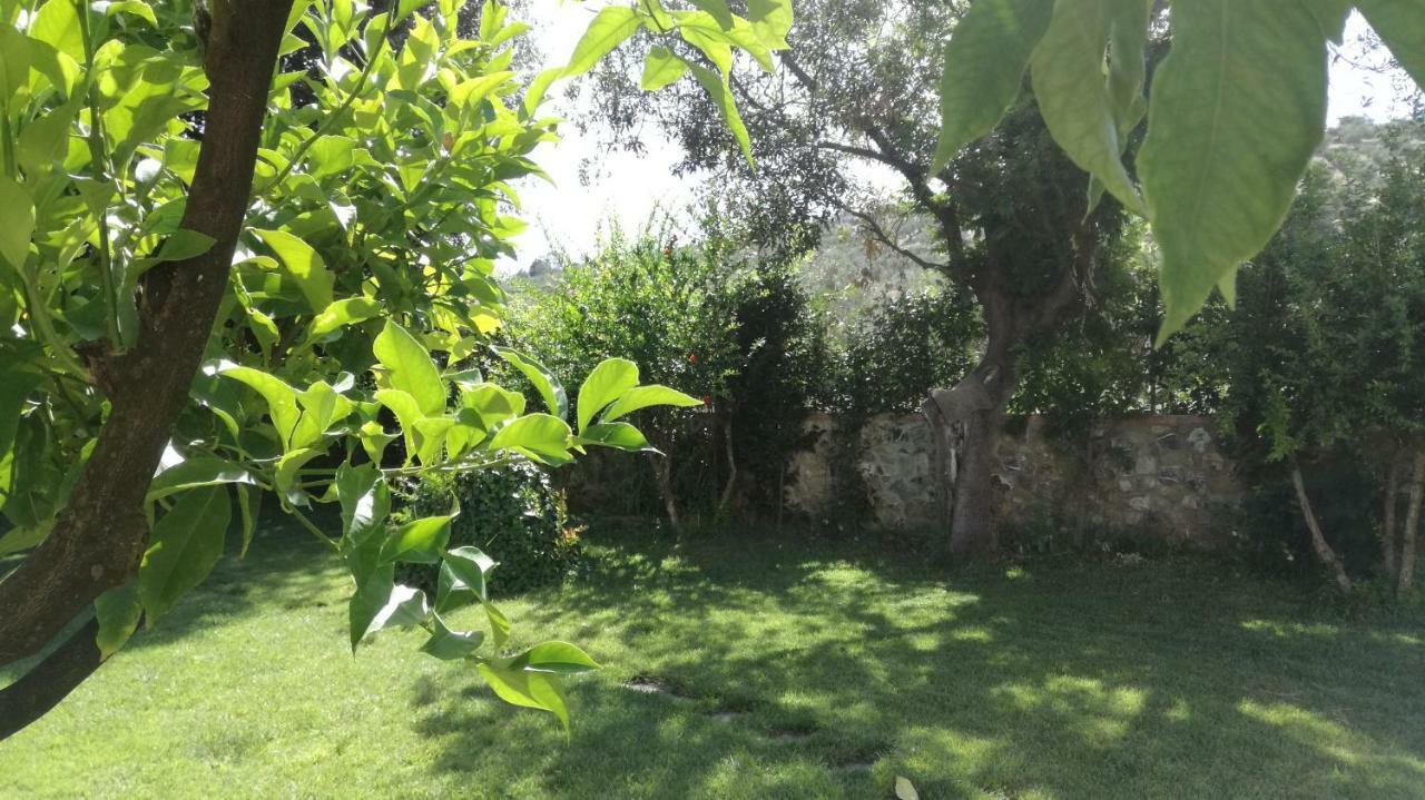 Casa Eraldo Otel Castellaccia Dış mekan fotoğraf